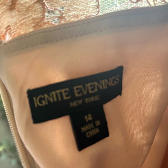 Blush Pink Formal Floor-Length Dress - Size 14 - Picture 6 of 7